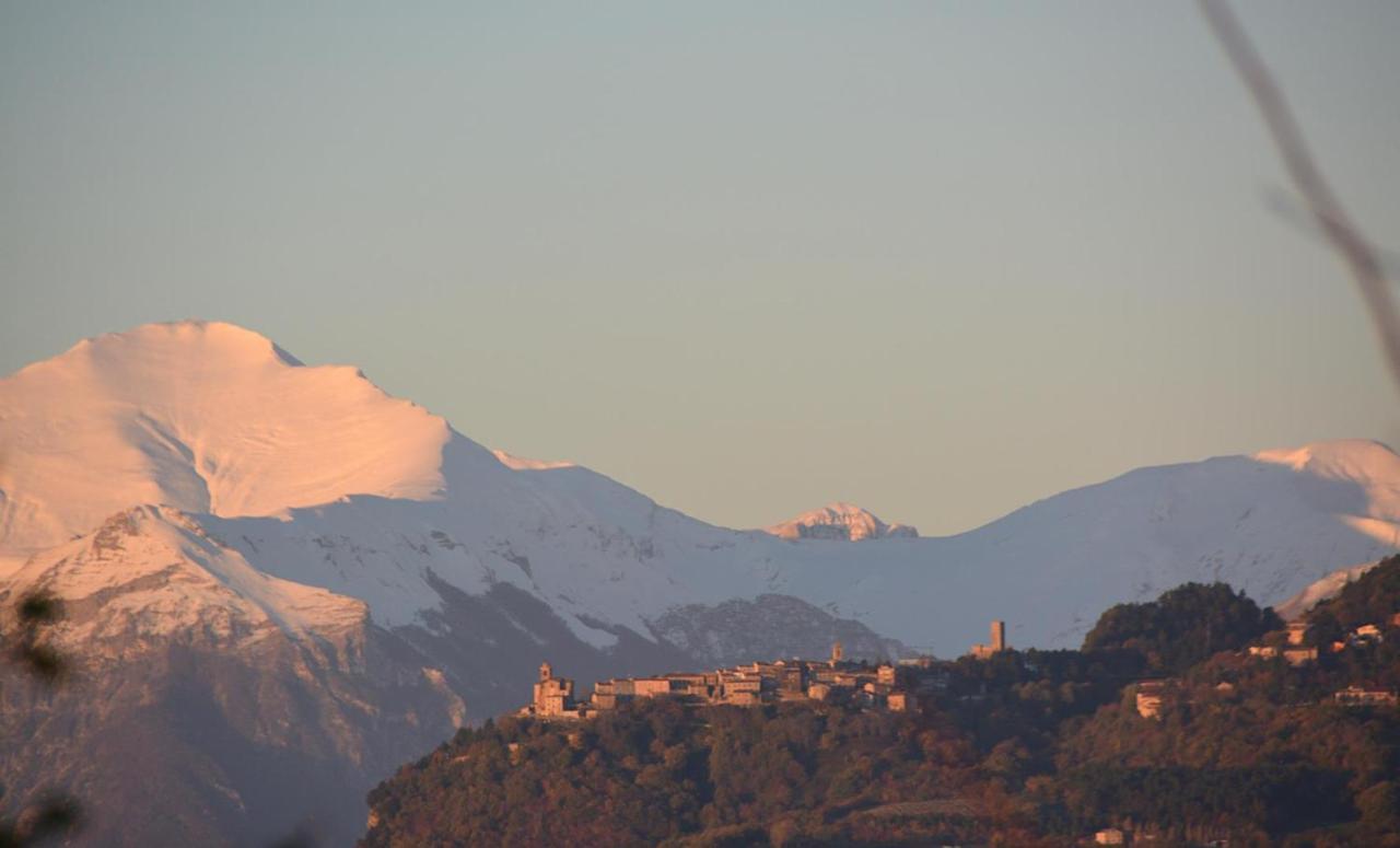 La Rosa Scarlatta Monterubbiano Bagian luar foto